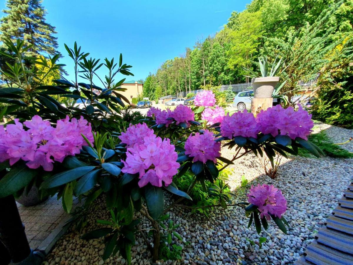 Hotel Mazuria Country & Spa Mrągowo Exterior foto